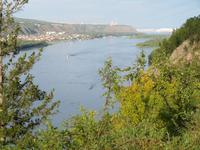 Jenissei vom Zar-Fisch