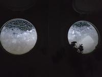 MS Rachmaninov, Unterdeck, Blick aus den Bullaugen 