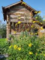 Wolga Kreuzfahrt, Mandrogi