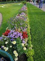 St. Petersburg, Peterhof
