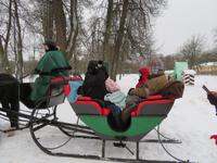 Schlittenfahrt in Puschkin