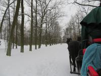 Schlittenfahrt in Puschkin