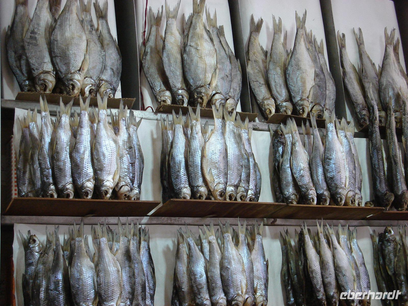 Astrachan: Fischmarkt