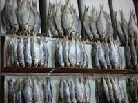 Astrachan: Fischmarkt