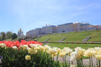 Der Park von Peterhof