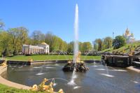 Der Park von Peterhof