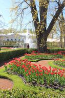 Parkanlage vor dem Schlösschen Monplaisier