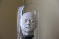 Die Totenmaske Peters des Großen