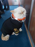 DSCN3405  Steuermann