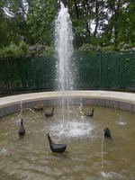 DSCN3643 Musikbrunnen