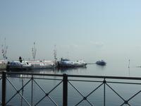Schnellboot nach Peterhof