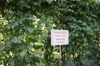 Zum Glück konnten wir diese Zeiten umgehen...