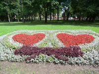 St. Petersburg im Hochzeitsfieber