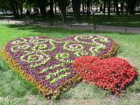 St. Petersburg im Hochzeitsfieber