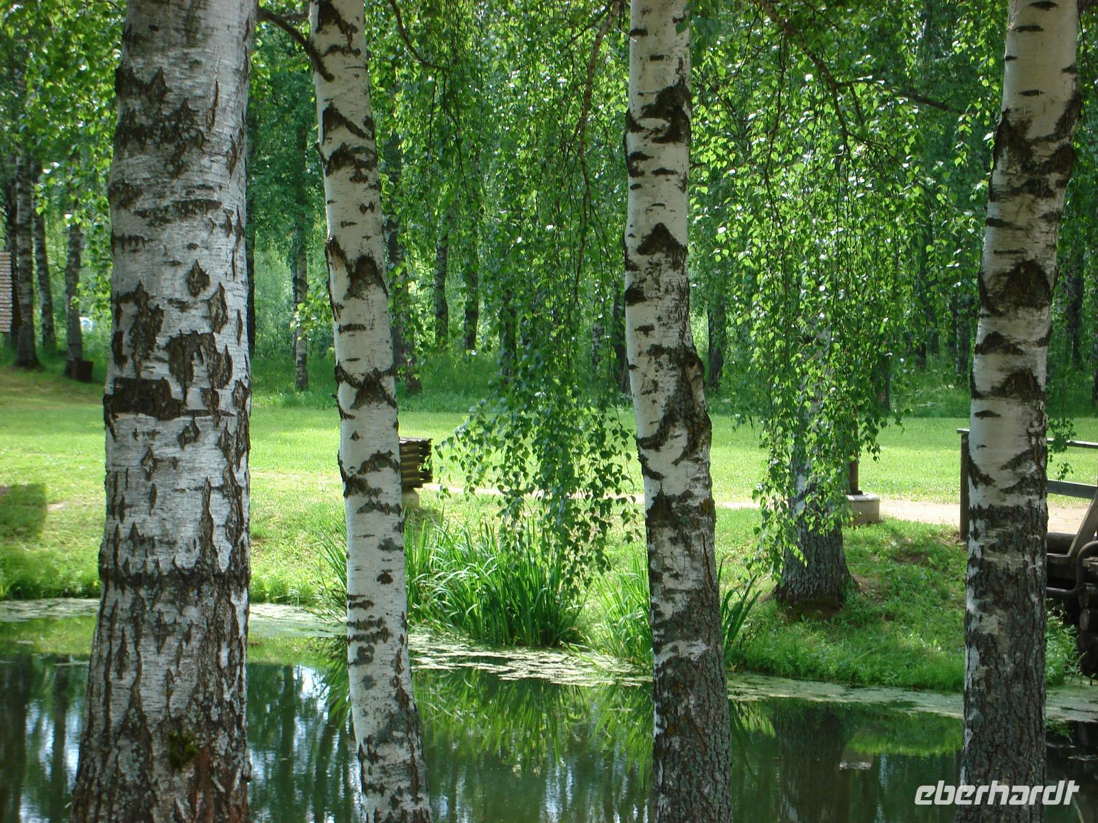 Kostroma: Museum für Holzarchitektur