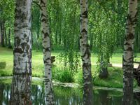 Kostroma: Museum für Holzarchitektur