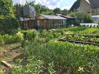 Auf dem Weg in den Ural: Zu Gast bei einer russischen Familie