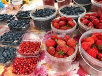 Novosibirsk: Auf dem Markt