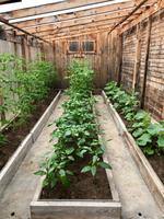 Bolschie Koty: Bei Tatjana zu Gast