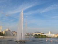 Wildschweinsee in KAsan