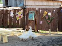 beim Töpfer im Ural