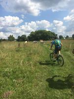 eine tierische Begegnung