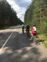 zum Glück einmal eine Asphaltstraße