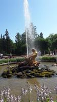 Peterhof