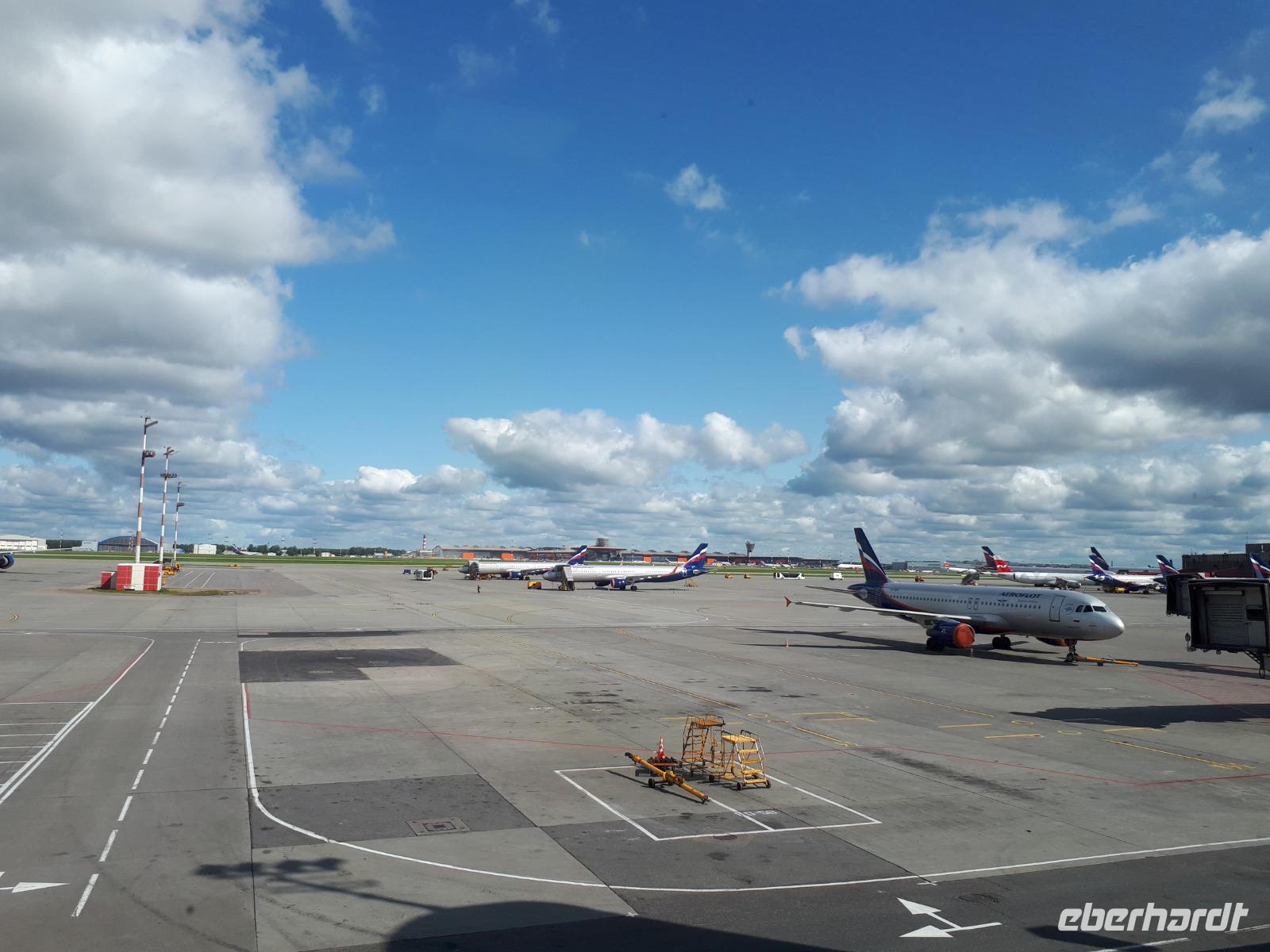 Rückflug nach Deutschland