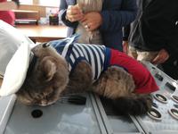 Schiff Nikolaj Tschernyschewskij, Besichtigung der Kapitänsbrücke