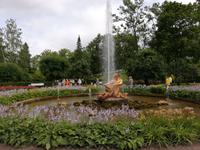St. Petersburg,Peterhof, Führung im unteren Park
