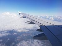 Flug St. Petersburg nach Frankfurt