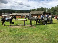 Kutschfahrten sind möglich