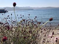 Baikalsee Insel Ogoj