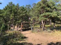 Wanderung zur heiligen Quelle