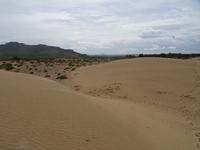 Die Sanddüne Elsen Tasarchaj