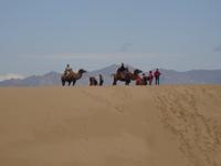 Die Karawane erklimmt die Düne