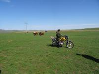 Das Motorrad hat das Pferd zum Teil abgelöst