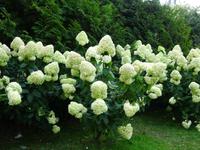 Moskau: im Alexandergarten