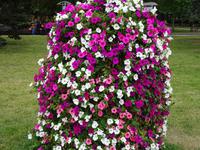 Nowosibirsk: Rundfahrt/Rundgang