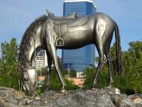 Krasnojarsk: Rundfahrt/Rundgang