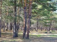 Ulan-Ude: Ethnographisches Freilichtmuseum