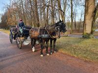 02.01.2020 Alexandrinsky Park in Puschkin 5