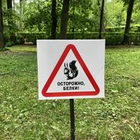 Vorsicht! Peterhof, St. Petersburg