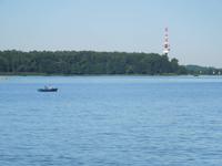 203 Peterhof