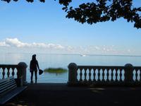 209 Peterhof