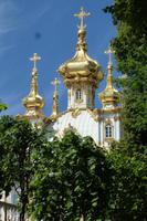 goldene Kuppeln im Peterhof