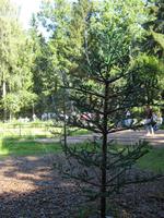 Wasserspiele mal anders