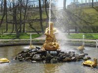 In Peterhof