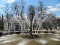 In Peterhof